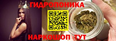 каннабис Кингисепп