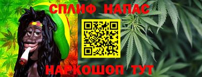 сатива Кинель
