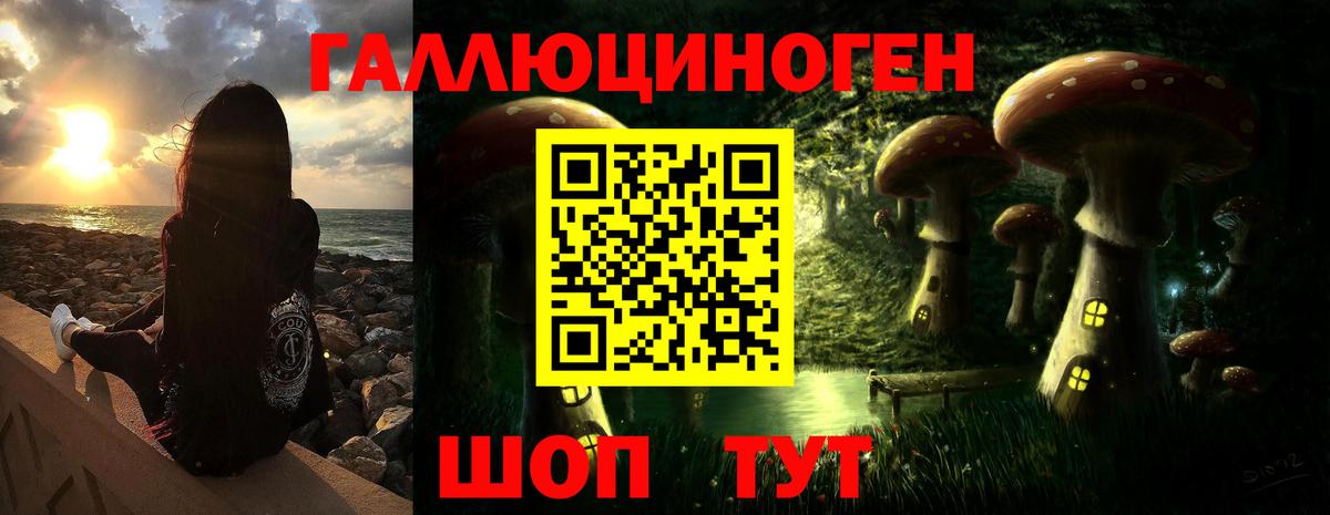 Красный Сулин  где купить наркотик  Вход с VPN  Галлюциногенные грибы Psilocybe 